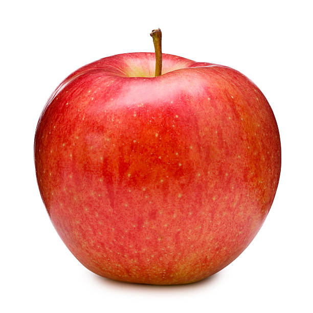 LokiTempus's tweet photo. This is a carrot. If you see an Apple it means you want this fox to suck your penis https://t.co/wH8NR04bUY