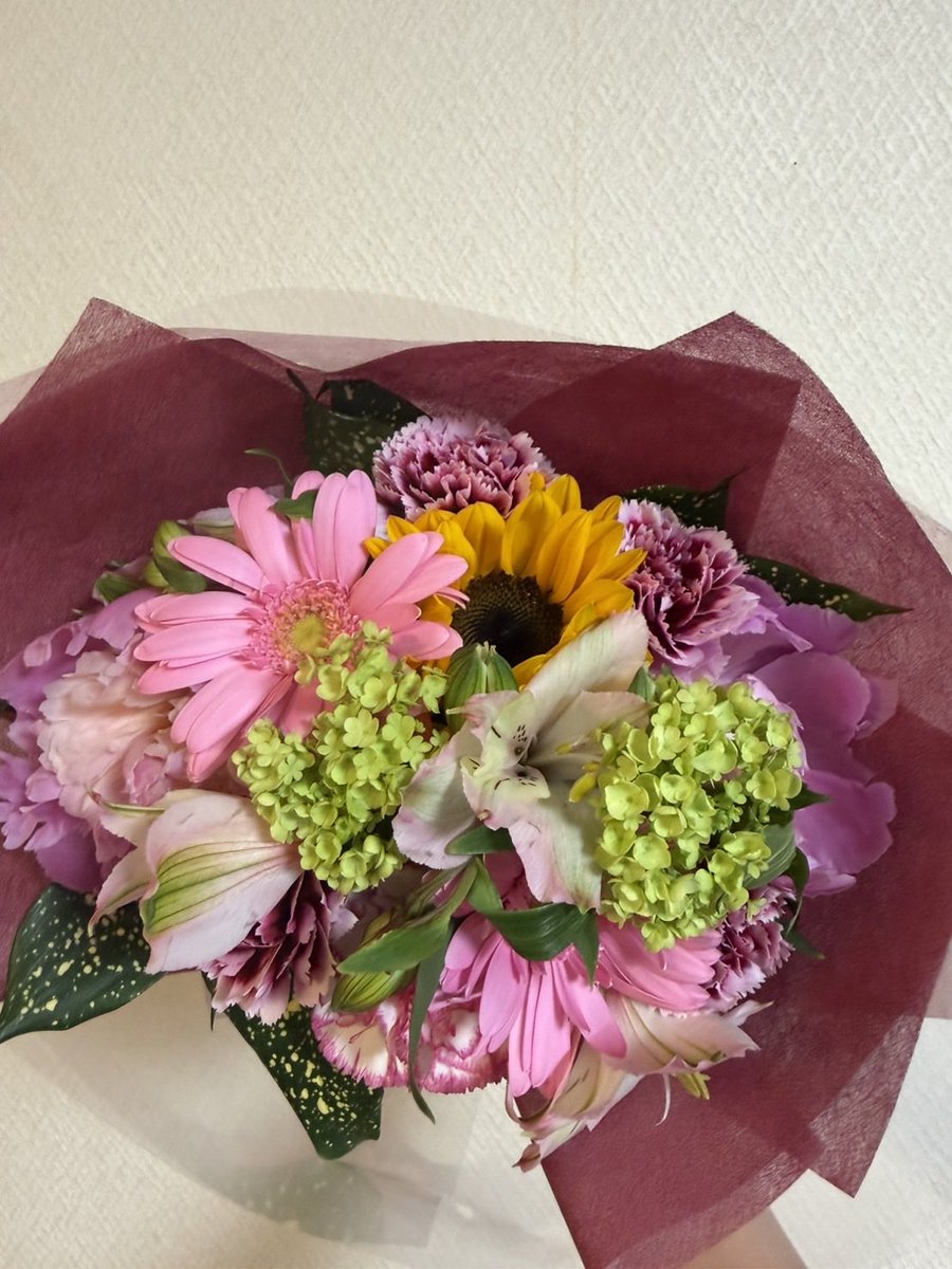 Lotk182335's tweet photo. 主人の会社から誕生日に
毎年届く立派な胡蝶蘭
毎年親戚に配ってます^^
自分の会社からも毎年花束💐
この時期はお部屋が華やかになります
ありがたい❣️がんばろっ
今日は免許更新行ってこようかな
TODAY′S SONGはこちら
色っぽいチョイス💕
 #胡蝶蘭
 #浜田省吾 https://t.co/Ec1tXRNPCY