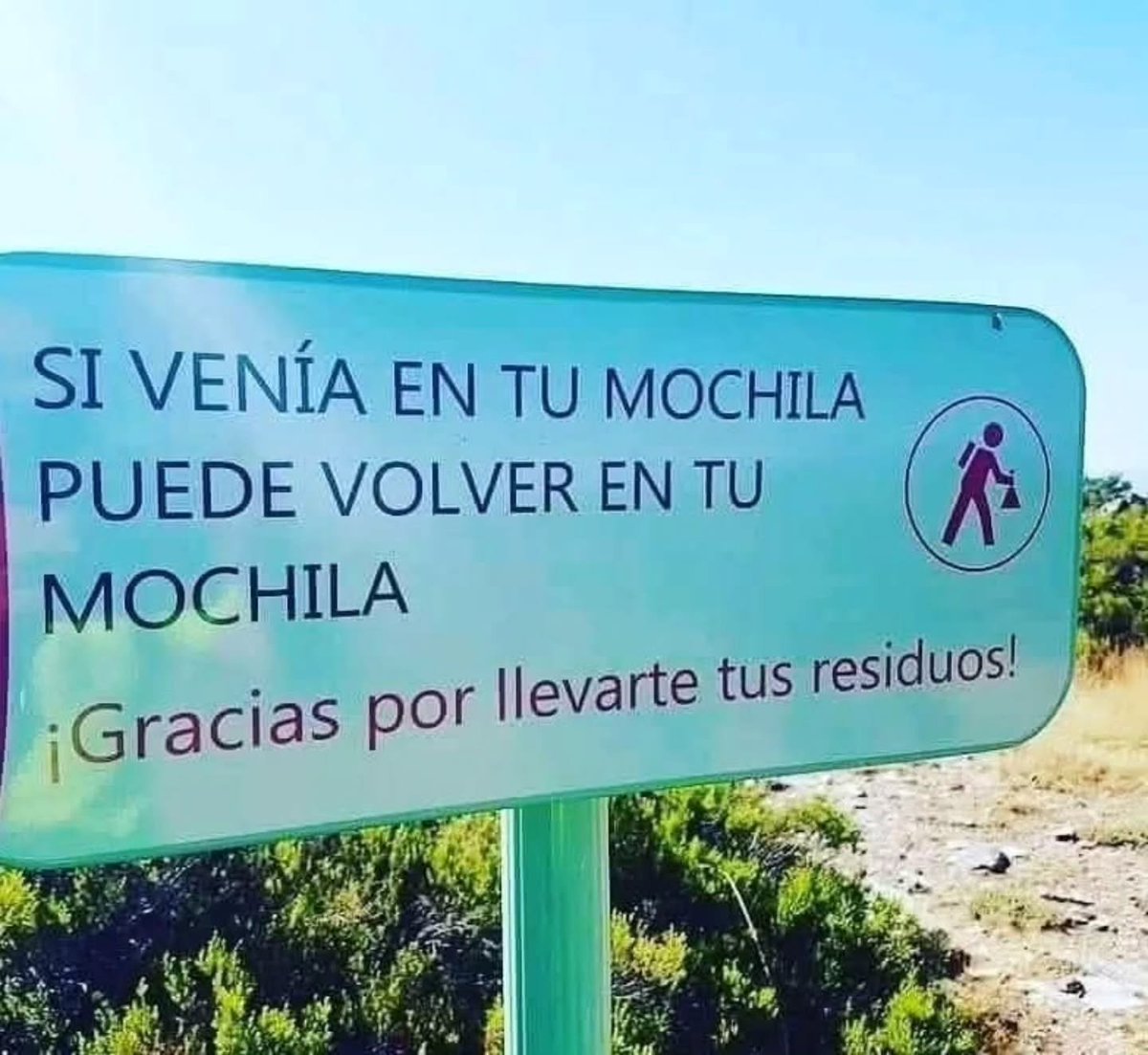 Más Ciencia tweet media