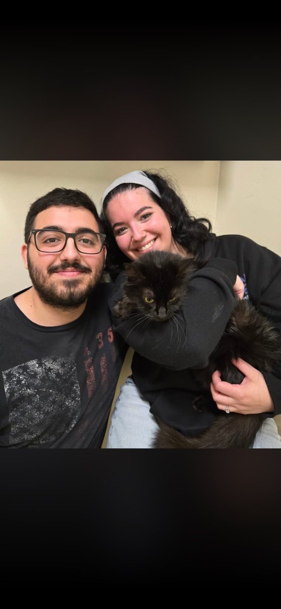 foreverpaws's tweet photo. Beautiful Eva finally found a forever family who appreciates her for exactly who she is, shyness and all π
#animalshelter #animalshelters #fpas #rescuelife #sheltercats #rescuecats #sheltercat #rescuecat #animalrescue #rescue #foreverpawsfamily #community #adopt #familypets https://t.co/o3YWvlV7BW