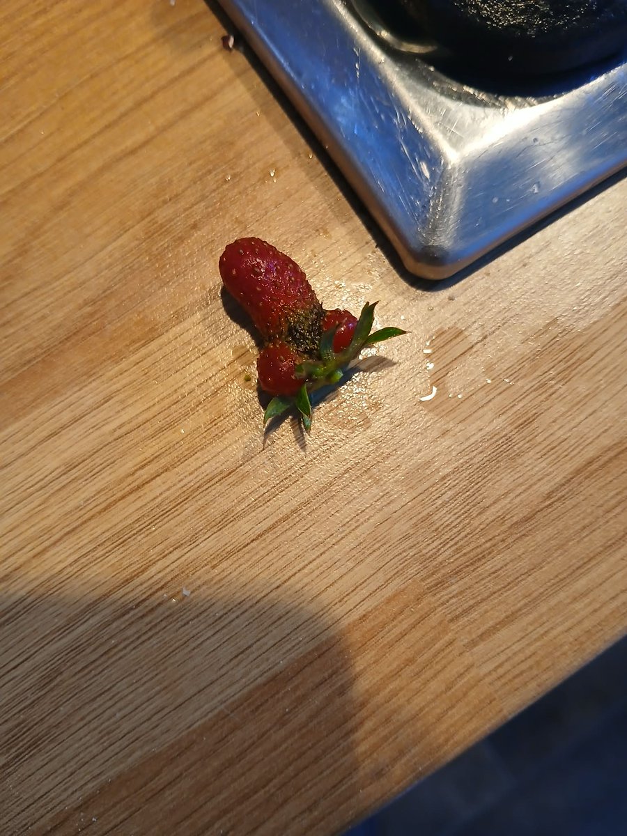 akirakibo's tweet photo. Grew an unbelievable strawberry https://t.co/hwrOD7LMWA