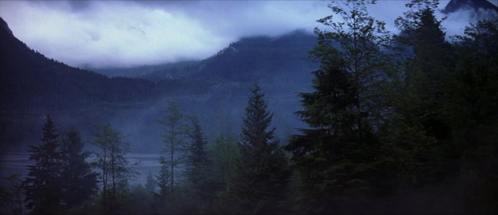CinemaJoys's tweet photo. Insomnia (2002) https://t.co/yhf8ery3jc