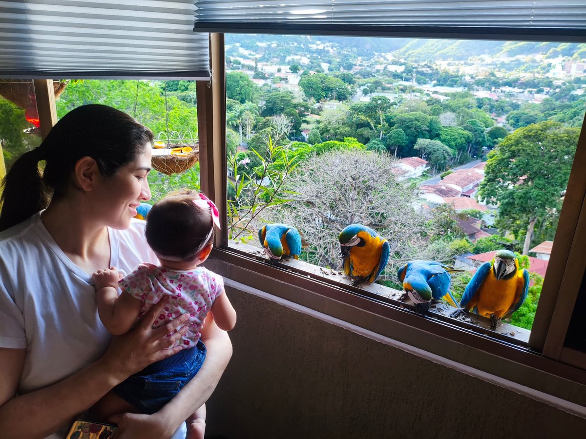 erikapgr's tweet photo. Mi princesa con la hermosa visita de la tarde https://t.co/mp89Q8FLVY