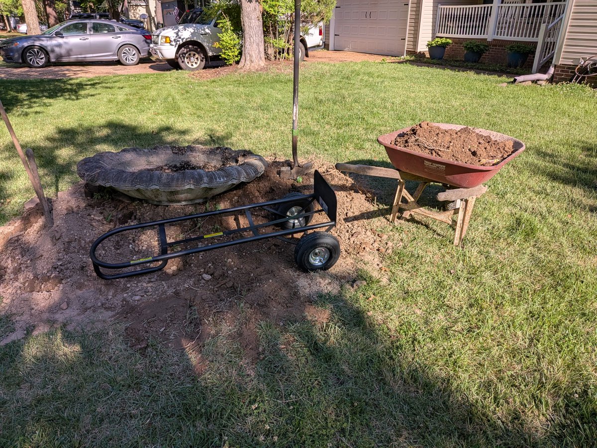 StatueOfDavid's tweet photo. 🦅🦉🐦Migration Complete 🐦🦉🦅
#WeekendProject #onlyfans #Garden https://t.co/GaTHEy4Crz