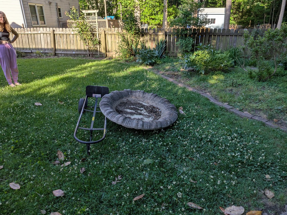 StatueOfDavid's tweet photo. 🦅🦉🐦Migration Complete 🐦🦉🦅
#WeekendProject #onlyfans #Garden https://t.co/GaTHEy4Crz