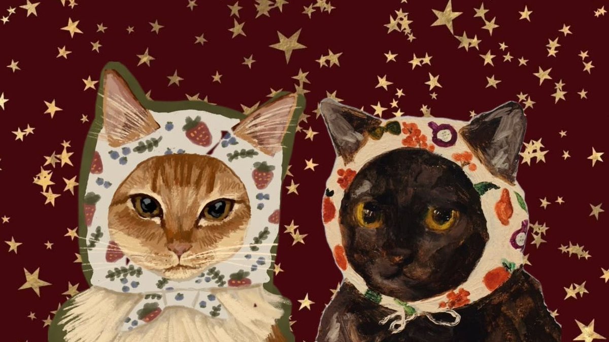 lilyavibe's tweet photo. cat and stars https://t.co/KXyF3u3wre