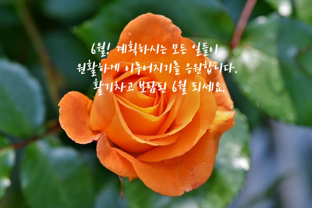Kma0418's tweet photo. https://t.co/0zmXOUVwSa