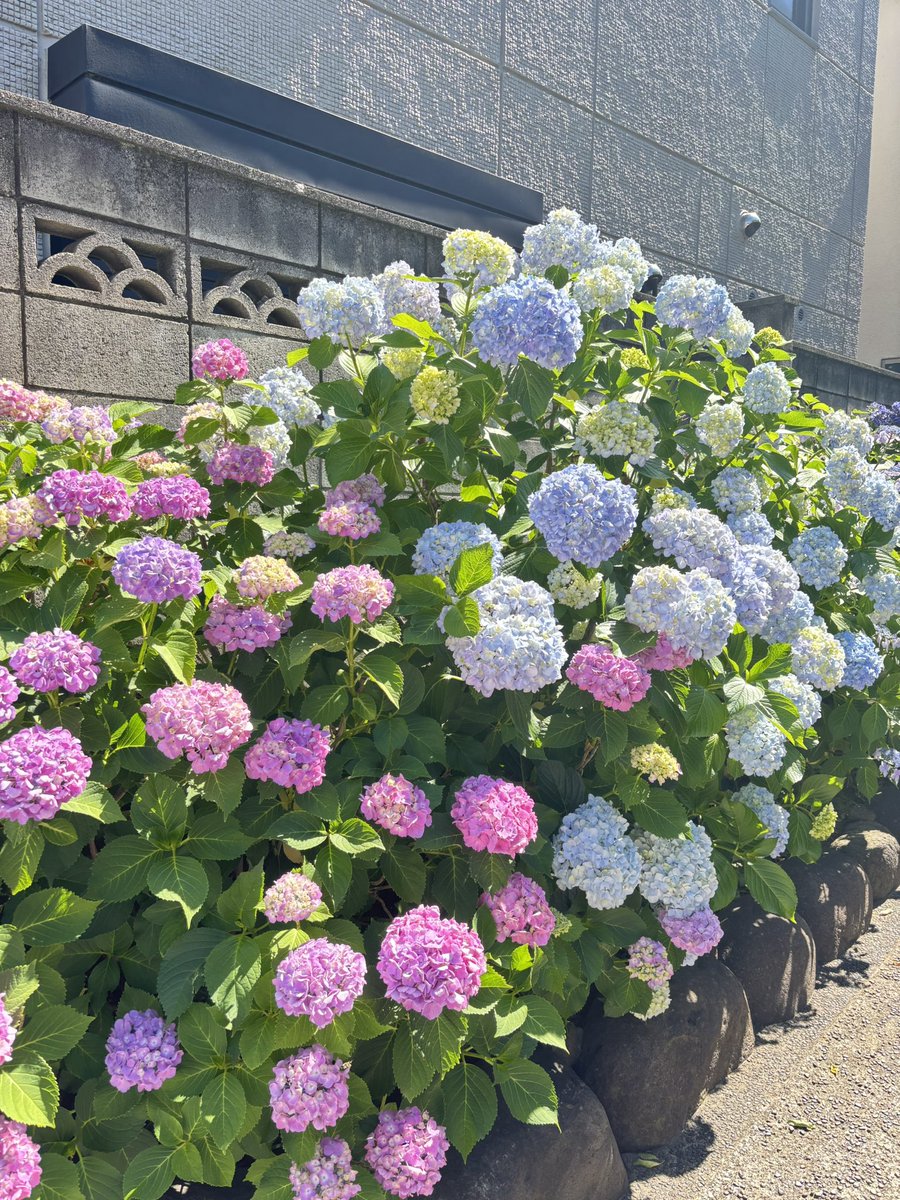 ゆあ(夢垢) tweet media