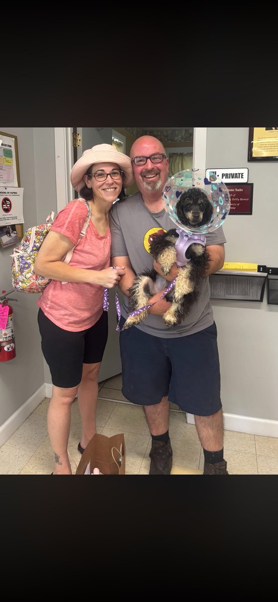 foreverpaws's tweet photo. Jolie found the BEST forever home!!!!
#animalshelter #animalshelters #fpas #rescuelife #rescuedogs #rescuedog #shelterdog #shelterdogs #animalrescue #rescue #dogsofinsta #foreverpawsfamily #community #adopt #familypetsaresuperheros #dogsofinstagram https://t.co/pVMGecZSuq