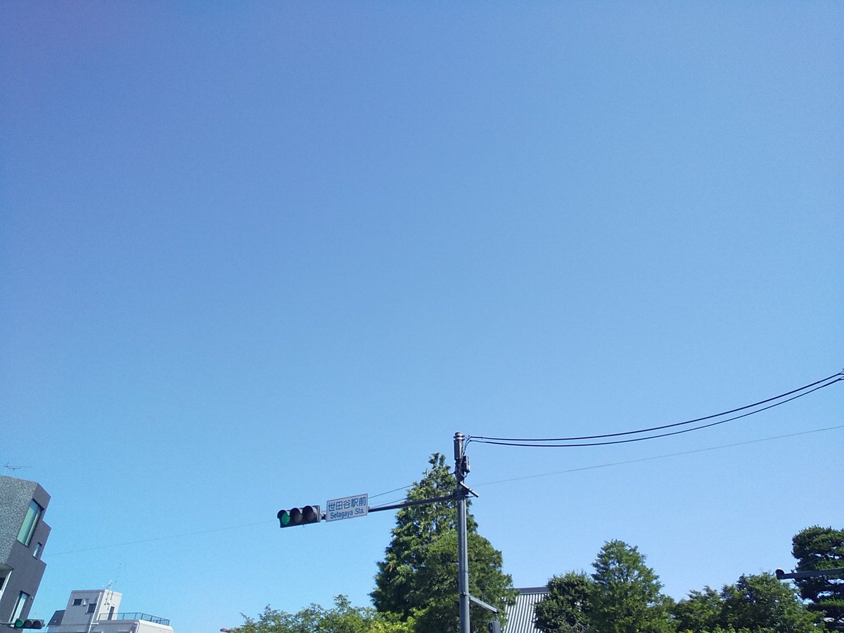 ysb_'s tweet photo. 月曜日～

晴れまくり～

暑ぅ～

本日も楽しくなりそうれす～

20260601～

 #世田谷 #世田谷区 #setagaya https://t.co/eZfXpzylPV