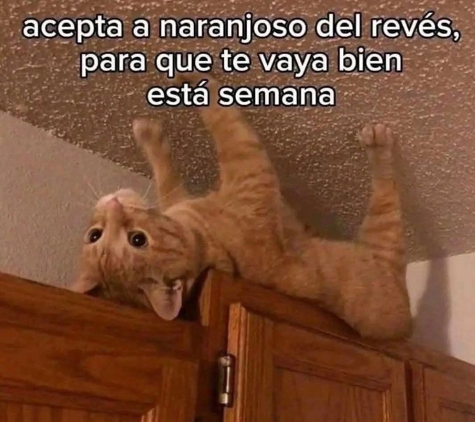 flanchota's tweet photo. acepta https://t.co/2VoeZG3MZN
