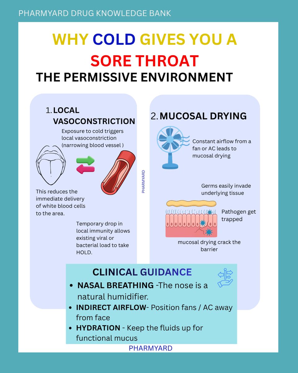 YardPharm's tweet photo. 🤔 Ever wondered why sleeping under the fan/AC or drinking cold water seems to trigger a sore throat, even when we know germs cause them? https://t.co/sm4vzczxh8
