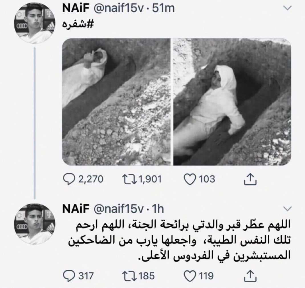 الدون بيكاسو tweet media