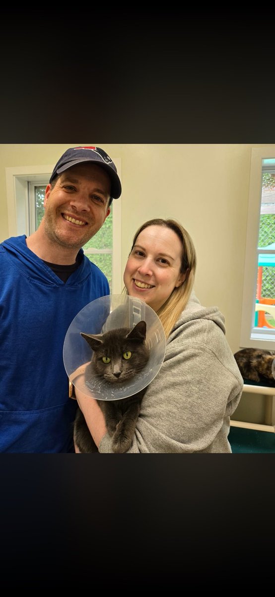 foreverpaws's tweet photo. Sweet lady Myra found her forever family π₯Ήπ₯°
#animalshelter #animalshelters #fpas #rescuelife #sheltercats #rescuecats #sheltercat #rescuecat #animalrescue #rescue #foreverpawsfamily #community #adopt #familypetsaresuperheros #CatsOfInsta https://t.co/skX7Qms7Ya
