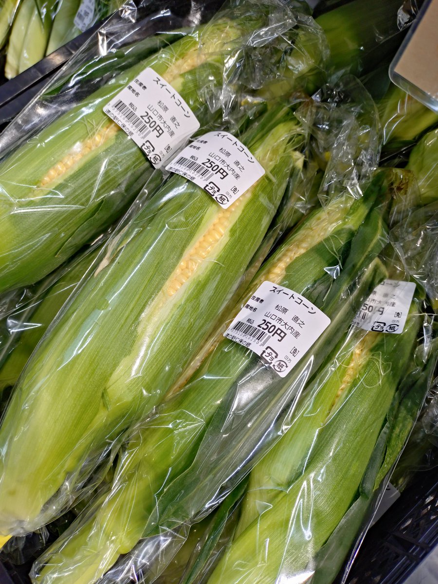 nihonosato's tweet photo. とうもろこしの出荷が始まりました〜！

#道の駅仁保の郷 #仁保の郷 https://t.co/O3BFzhPuEd