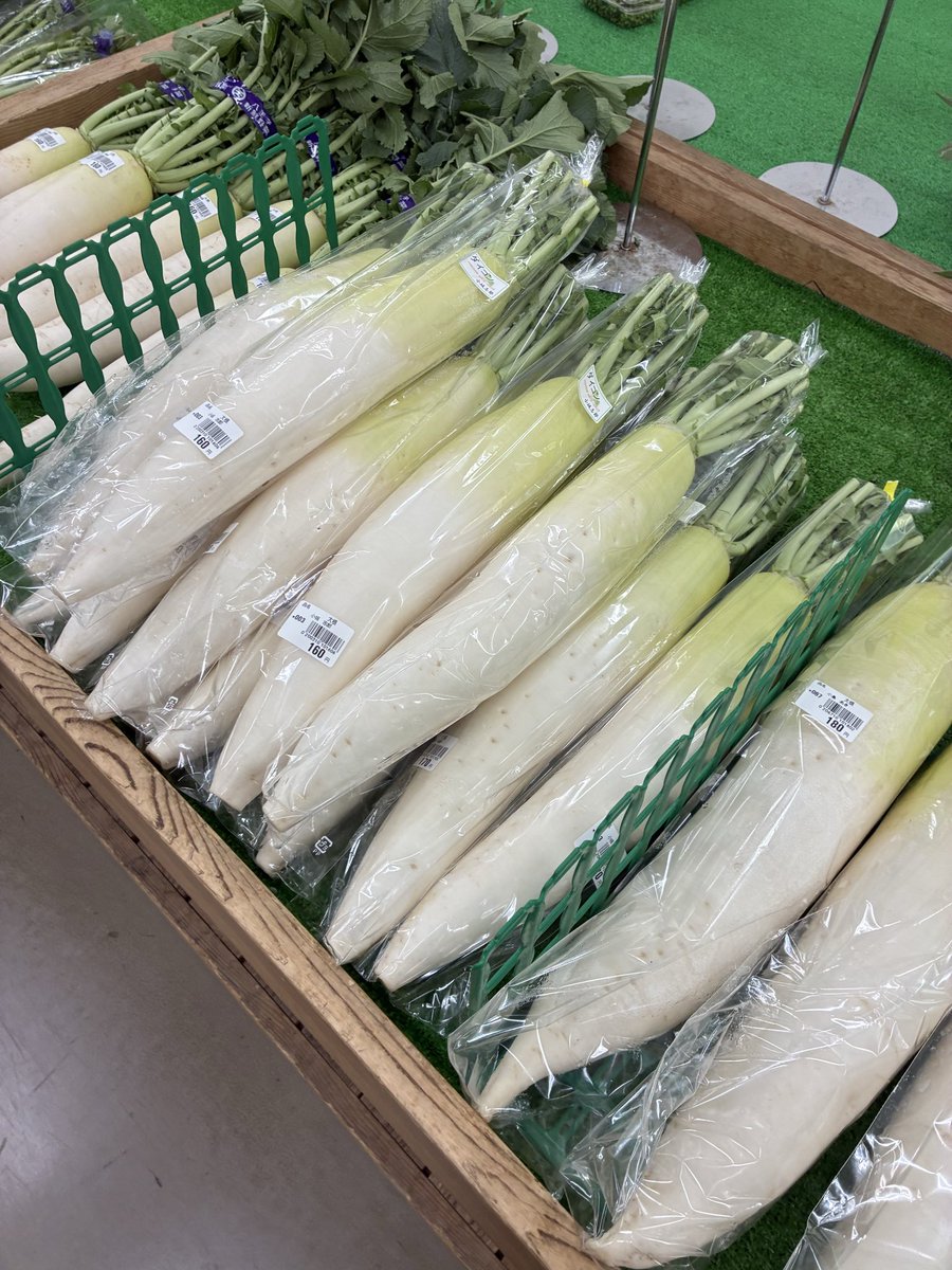 おはようございます🌞 本日は八王子産のとうもろこし、大根