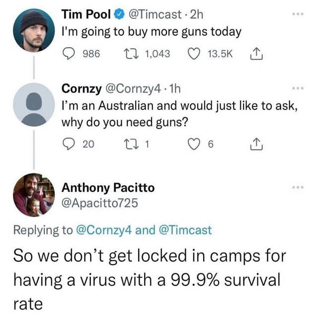 rabbitholebot tweet media