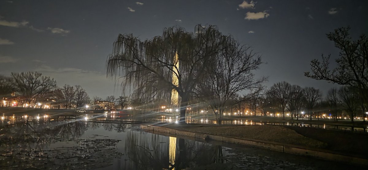 CharlesO90824's tweet photo. The value of a single tree.. The stories that have been told, futures built and the lives lost God Bless America 🇺🇸 https://t.co/ZlPcggD21U