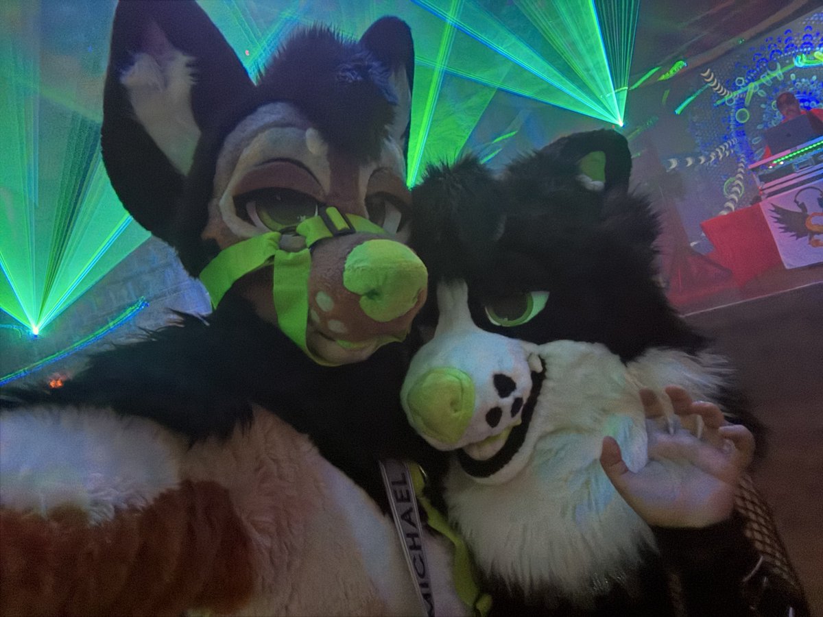 sockmutt's tweet photo. Let’s get one thing straight, this is my motherfuckin puppy boy😈 @puptactics https://t.co/xHQqsjIOAW
