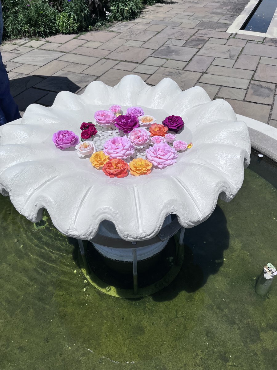solidblue1126's tweet photo. 信州なかのバラまつり綺麗だったなあ。 https://t.co/N0YhlRV98x