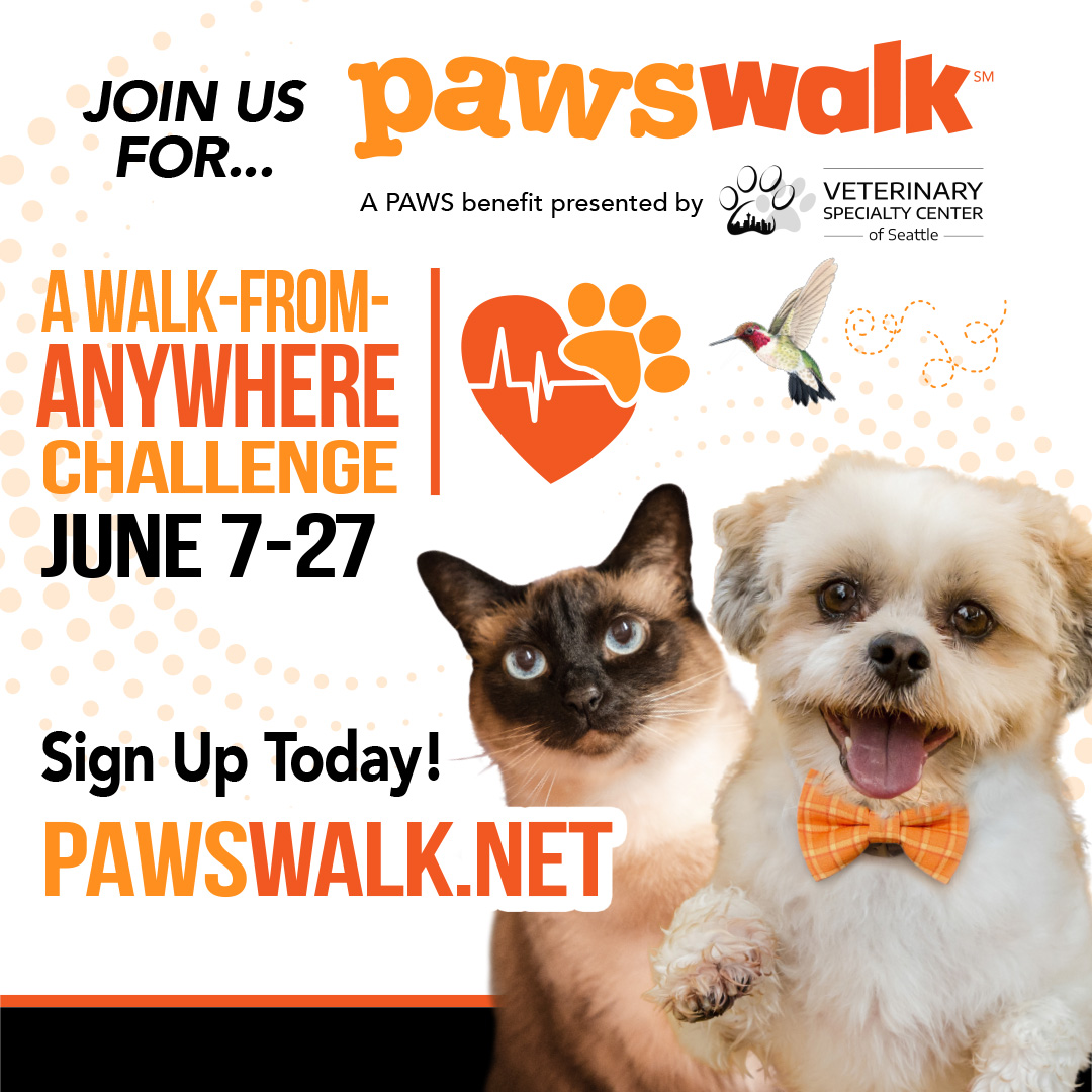 CarterSubaru's tweet photo. We are proud to sponsor this year’s PAWSwalk kicking off on 6/7 in support of our amazing community partner, PAWS - Progressive Animal Welfare Society! 🐾🧡  

Interested in registering? Use promo code SubaruShoreline or SubaruBallard for $5 off your registration fee! ✨ https://t.co/t2DkjH3mOz