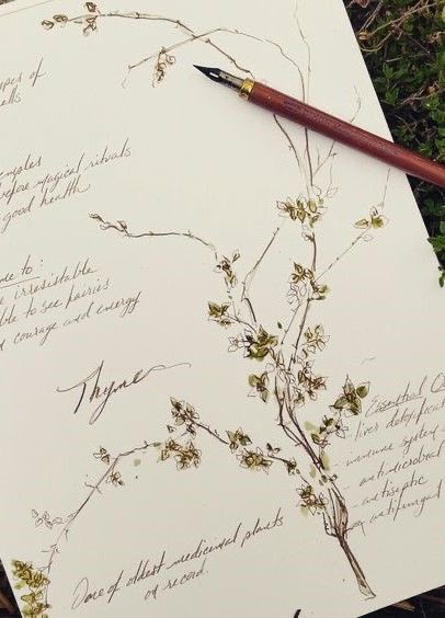 hesternarosa's tweet photo. Weekly vibe check. First four photos when you log on to Pinterest are your vibes for the week. https://t.co/uLLsP64FCD