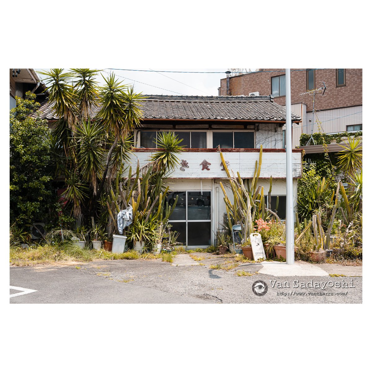 vansjournal's tweet photo. 尾鷲路地写真 https://t.co/PNDu1L875v