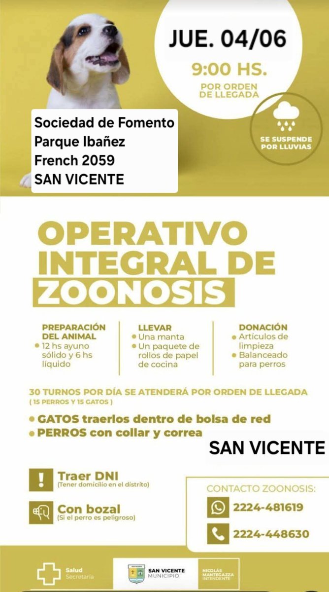 protegealanimal's tweet photo. SAN VICENTE 
#SANVICENTE #BARRIOLAPAZ #LAPAZ #BARRIOLOSHORNOS #DOMSELAAR #BARRIOLAPRADERA #BARRIOLOSNARANJOS #BARRIOBIOCCA #ALEJANDROKORN #KORN #ZONASUR #GRANBSAS #BUENOSAIRES #BSAS https://t.co/0O0bGi12Jr