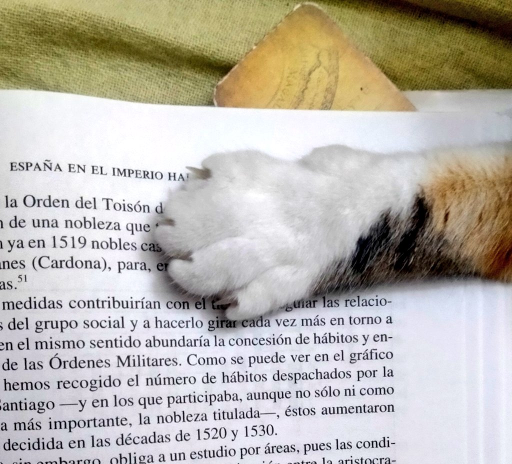 ArIIdiII's tweet photo. Siempre fue la zarpa compañera del imperio https://t.co/RguVOPSVjh