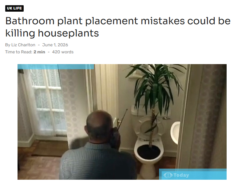 MikeGne's tweet photo. It's a serious issue, of course, but sometimes you just think Yucca in the bog. https://t.co/aX6RE3RjxS