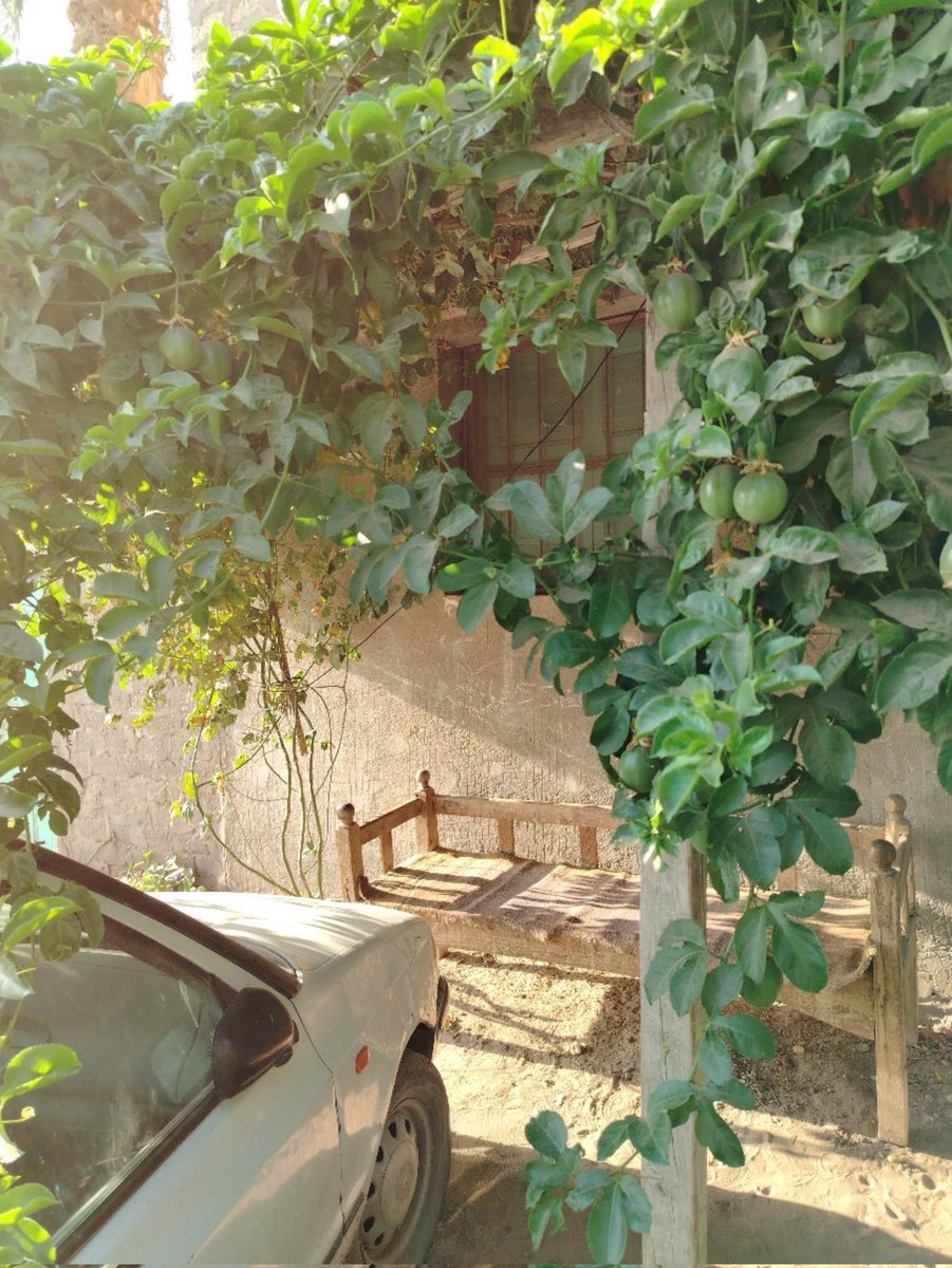 MuhammadHegazie's tweet photo. وَإِذَا خَلَوْتَ بِرِيبَةٍ في ظُلْمَةٍ
وَالنَّفْسُ دَاعِيَةٌ إِلَى الطُّغْيَانِ
فَاسْتَحْيِ مِنْ نَظَرِ الإِلَهِ وَقُلْ لَهَا
إِنَّ الَّذِي خَلَقَ الظَّلاَمَ يَرَانِي
كُنْ طَالِبًا لِلْعِلْمِ وَاعْمَلْ صَالِحًا
فَهُمَا إِلَى سُبُلِ الْهُدَى سَبَبَانِ https://t.co/CexiM5zo3L