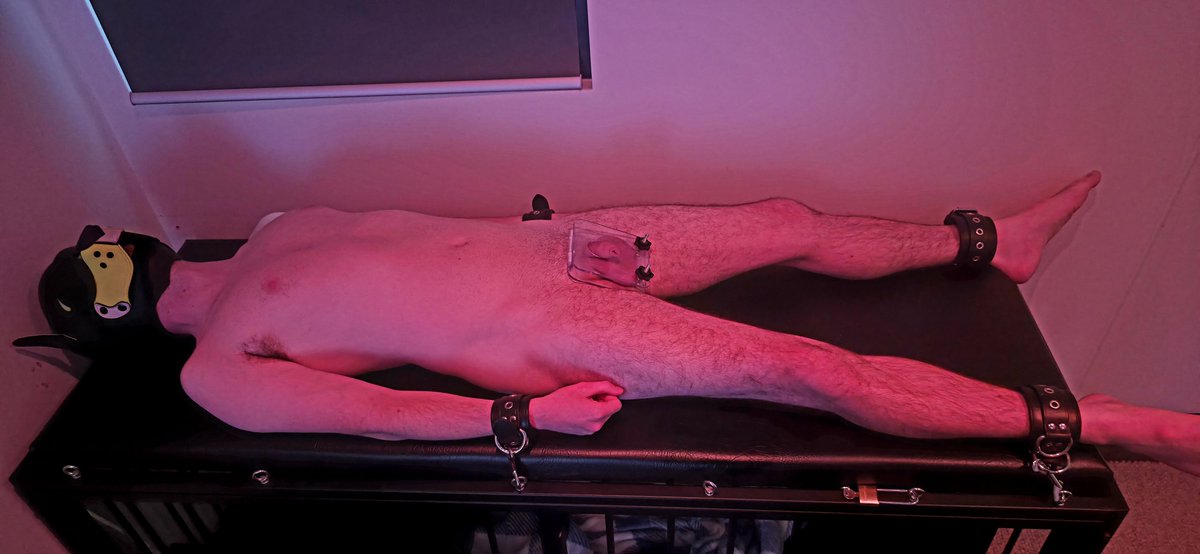 The_MrFister's tweet photo. Locked down @PupCipherMelb
and went to town on his 🥚🥚
with an acrylic press 😈 They were
nice and flat by the time I finished 😈

#pupplay #kink #ballbusting #cbt https://t.co/AdHeG97J9l