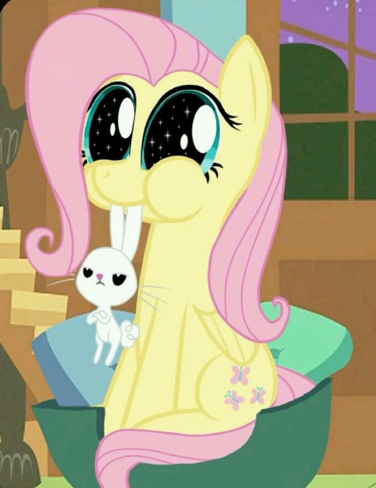 FlutterGoy tweet media
