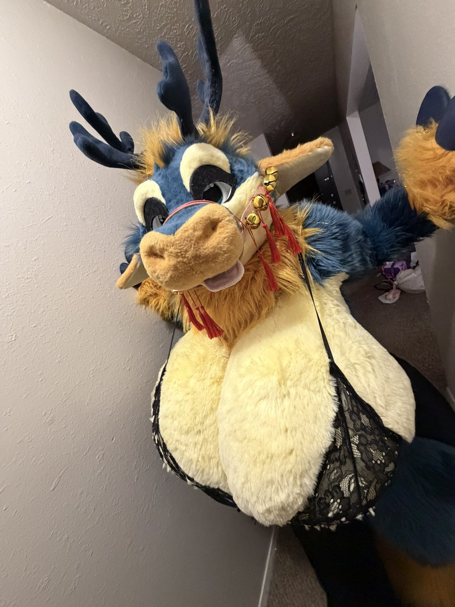 Holidayhypno's tweet photo. Top heavy~ https://t.co/92retkNd6z