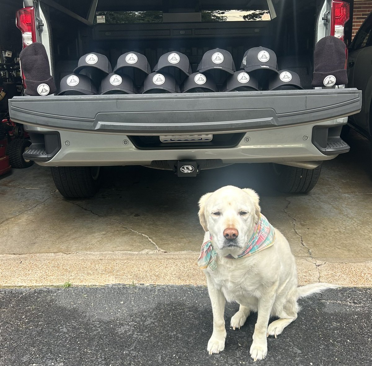 GreensPro's tweet photo. There will be some happy customers this week on my route. 

Dogs, golf and supporting local business. Appreciate you @DogsOfTurf 🐾🐾🐾🐾🐾 https://t.co/3xRlQ3pL5B