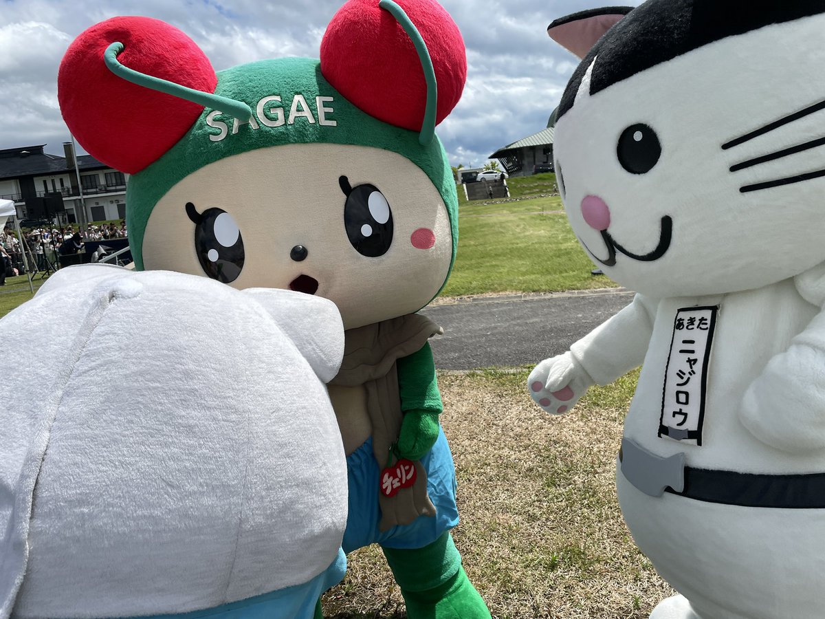∇・)おはにゃーん！6月にゃー！さくらんぼが美味しいにゃー！