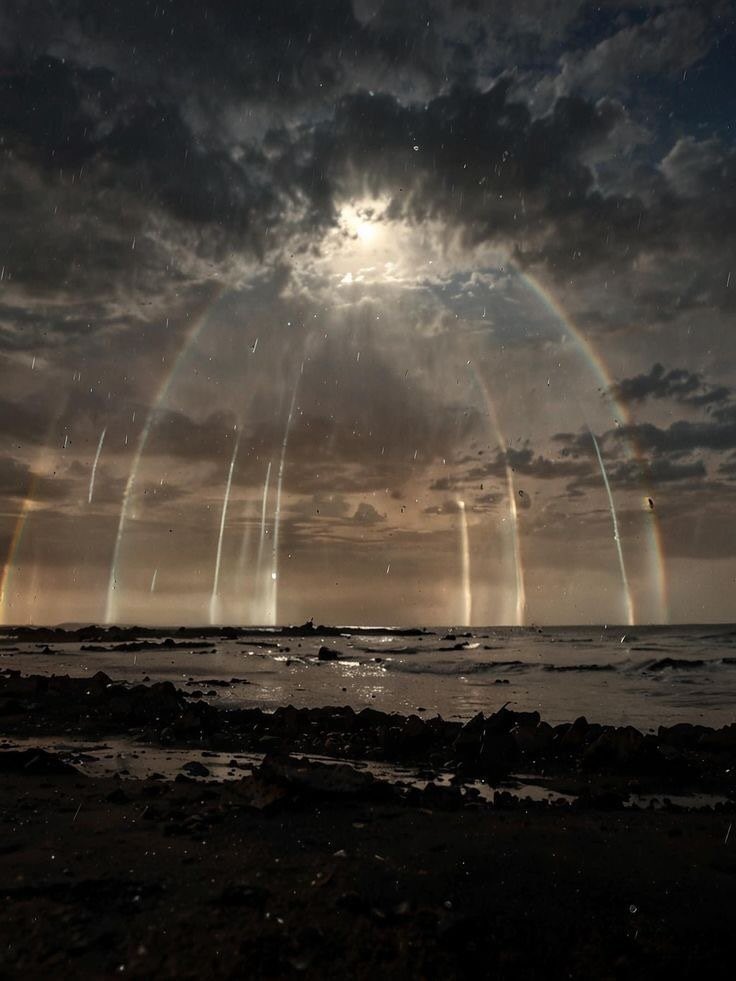 naturevisuaIs tweet picture