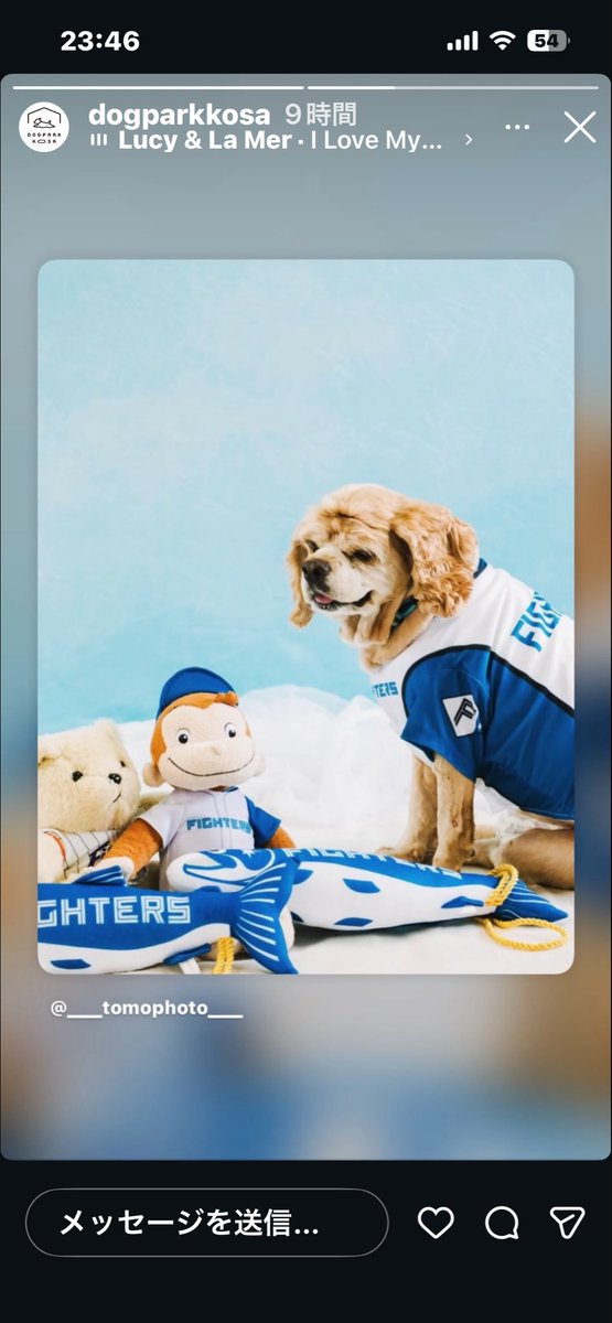 TOYODAYUKA315's tweet photo. おはようございます☀
6月もよろしくね⭐️
ファイターズもよろしくね⚾️ https://t.co/bvD8wjUiyP