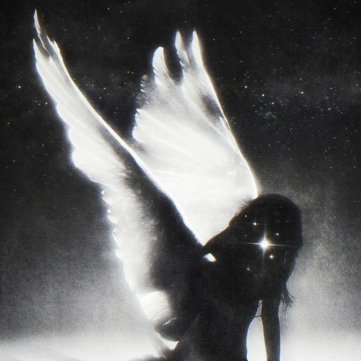 poetical photos. tweet media