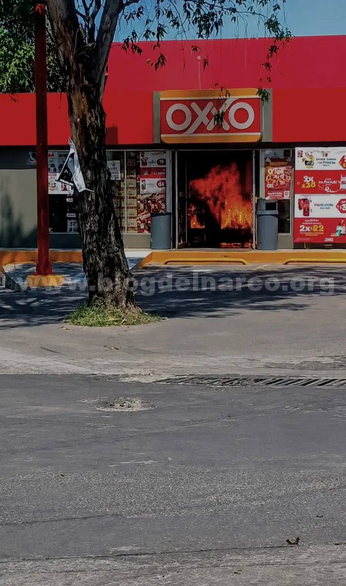 blogdelnarcomx's tweet photo. Se han estado convirtiendo en los nuevos Zetas, en el nuevo grupo mas odiado de México, Mugrosos del CJNG volvieron a robar, quemar vehículos y negocios en Zitácuaro, Michoacán como berrinche por la detención de cinco gatilleros (Informacion en el enlace) https://t.co/BHHm0HLScy https://t.co/uBdfpCjFVw