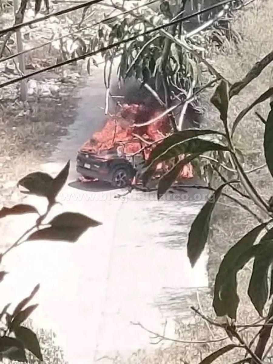 blogdelnarcomx's tweet photo. Se han estado convirtiendo en los nuevos Zetas, en el nuevo grupo mas odiado de México, Mugrosos del CJNG volvieron a robar, quemar vehículos y negocios en Zitácuaro, Michoacán como berrinche por la detención de cinco gatilleros (Informacion en el enlace) https://t.co/BHHm0HLScy https://t.co/uBdfpCjFVw