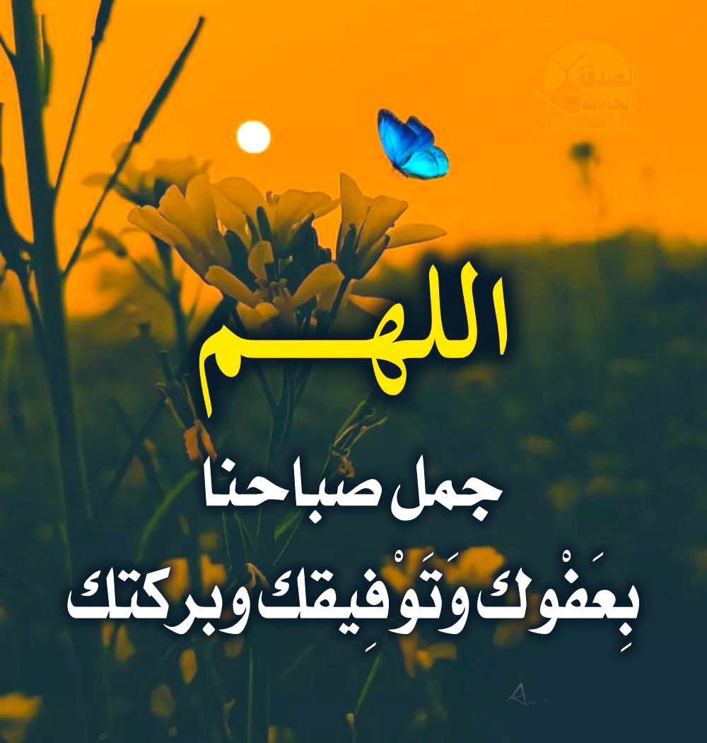 ALali6002's tweet photo. اللهم جمل صباحنا 
بعفوك وتوفيقك وبركتك 
الله يصبحكم بالخير والمسرات. https://t.co/HPj555JwSV