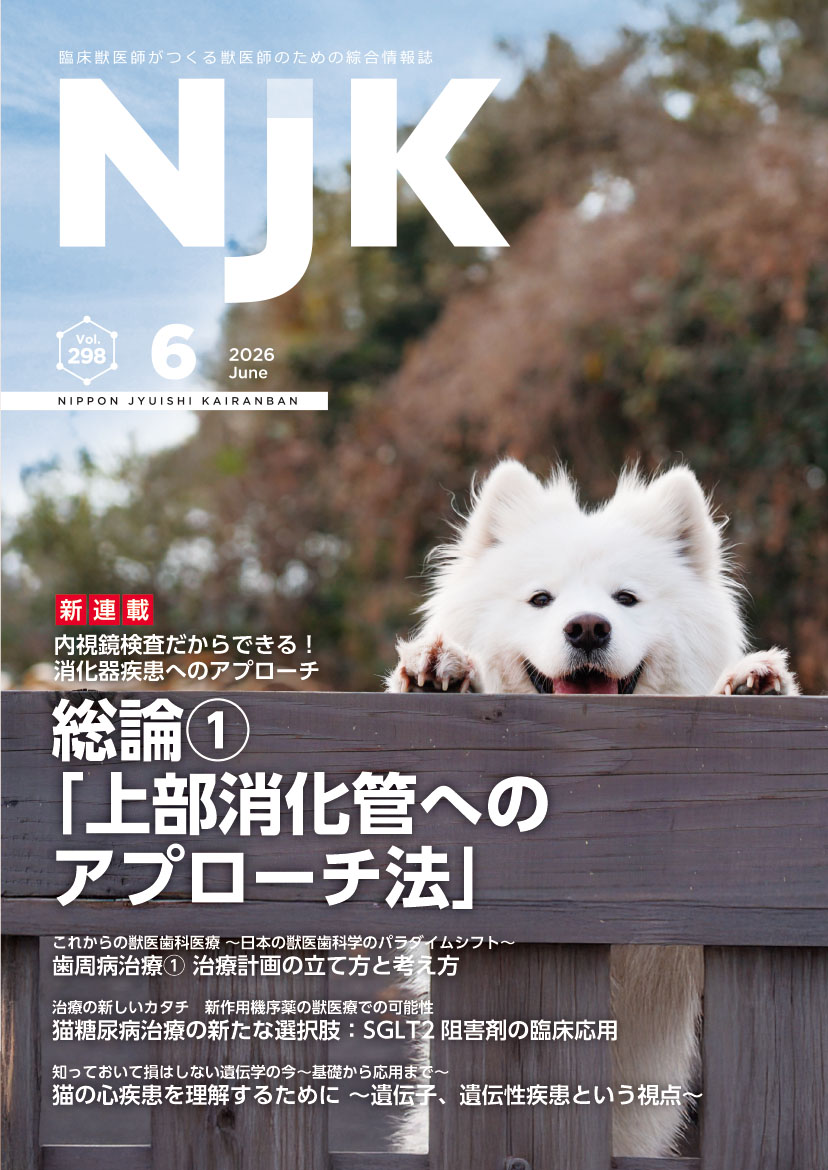 NJKVETS's tweet photo. 最新号2026年6月号（6/1発行）内容続き
「猫の心疾患を理解するために～遺伝子、遺伝性���患という視点～」今本成樹先生
「歯周病治療①治療計画の立て方と考え方」奥村聡基先生
#獣医師 #獣医療 #動物医療
https://t.co/DQgvkope8t https://t.co/9L4T7GLAb2