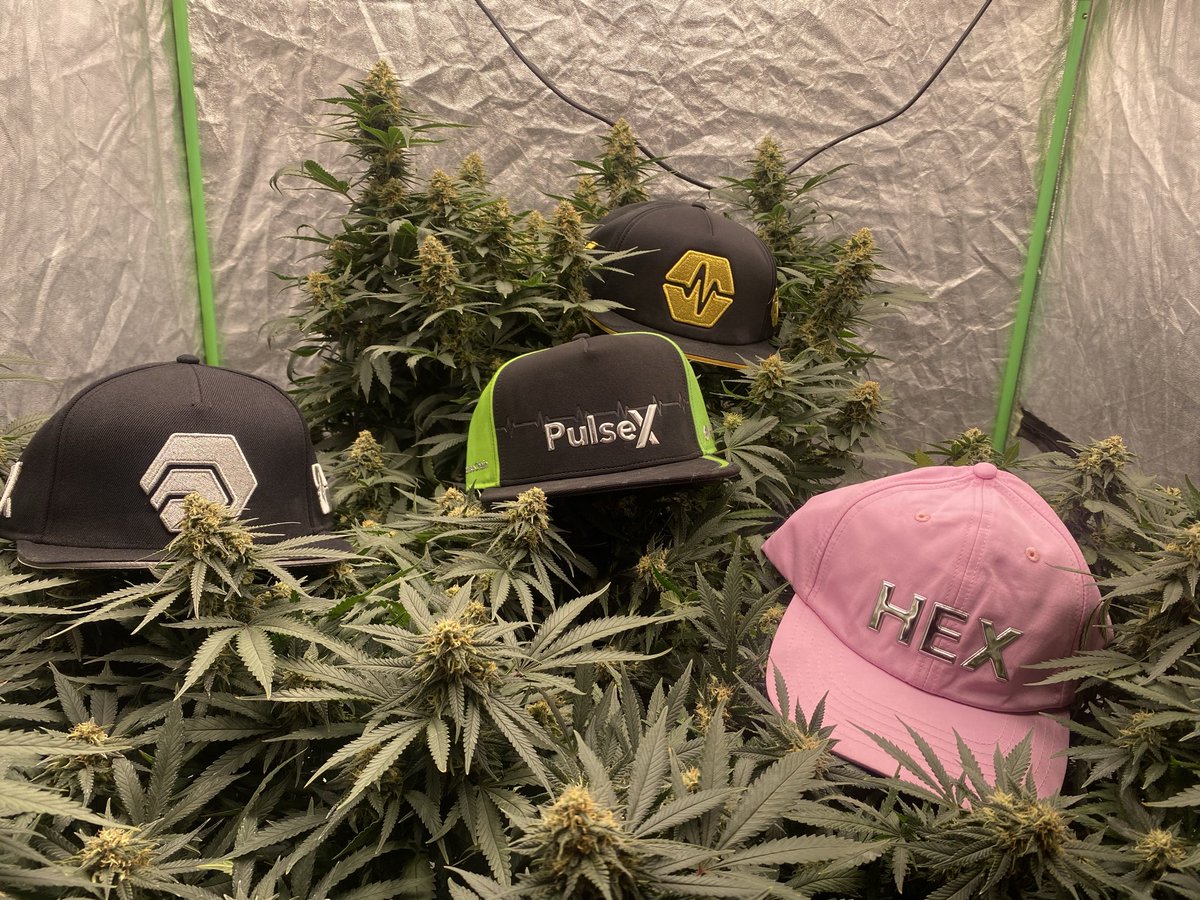 3Pumps's tweet photo. @djpaulywoodWin Waiting for green candles https://t.co/CWjDGf9X3D