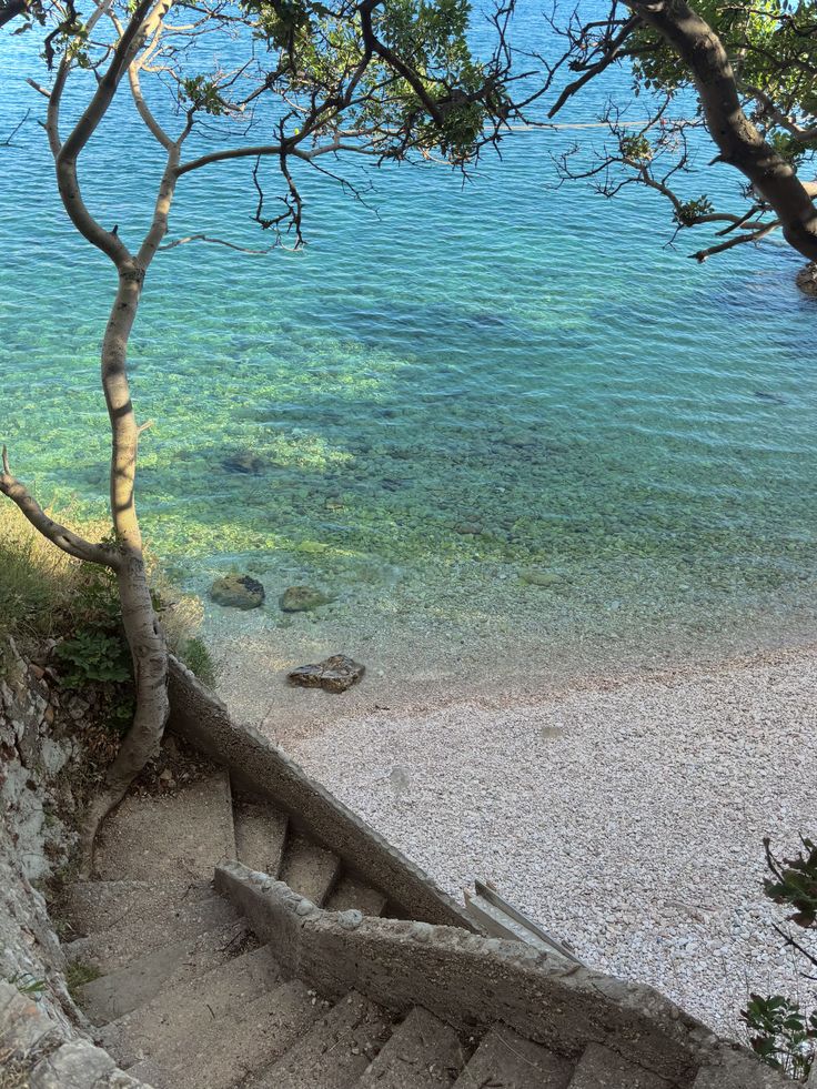 greenvibe's tweet photo. Crystal-clear seawater https://t.co/WWEVTKwLze
