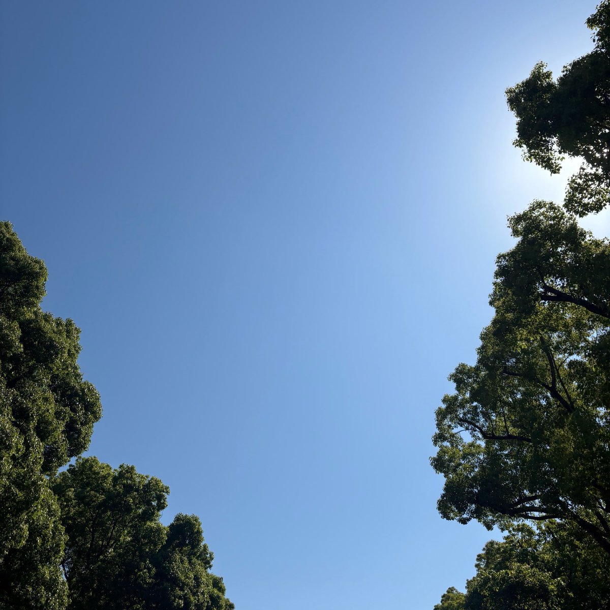 GENIOSolutions_'s tweet photo. おはようございます😃
今日の #神戸 は晴れのち曇り☀️☁️と #横浜 は晴れ☀️です！

久しぶりの快晴ですが、とても暑いです🥵
台風の情報も気になりますね…💦

今週もよろしくお願いいたします🙂‍↕️✨

#CAD #CAM #モノづくり #製造業
#企業公式が毎朝地元の天気を言い合う https://t.co/DYl3X9l7ym
