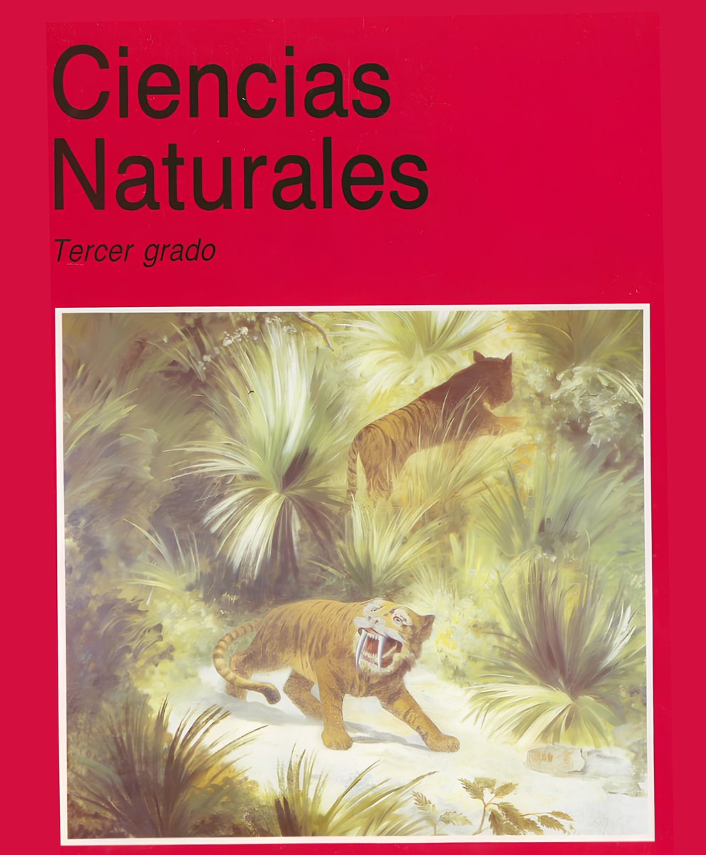 MUNALmx's tweet photo. ¿Recuerdas haber llevado el arte del MUNAL en tu mochila? 🎒🎨

Obras de su acervo ilustraron por años portadas de Libros de Texto Gratuitos.
Acompañaron a millones de estudiantes y hoy forman parte de la memoria visual de generaciones en México 🩷 https://t.co/cbAGUzkGpc