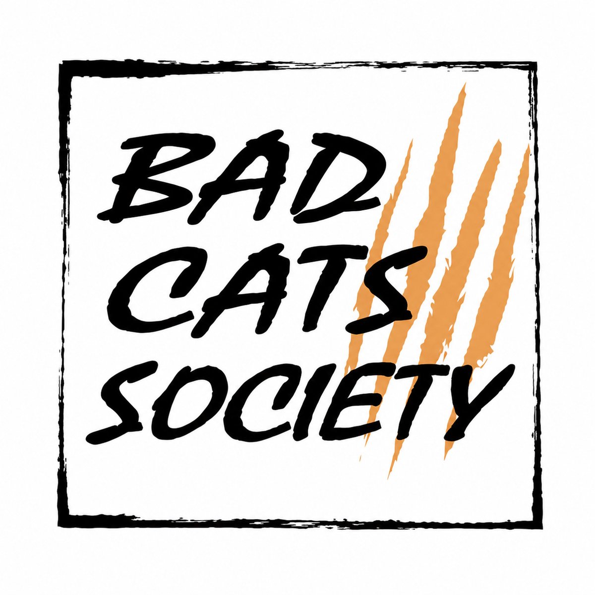 BadCatsHq's tweet photo. Hello lads! GM! GN! https://t.co/Qga0gnKjol