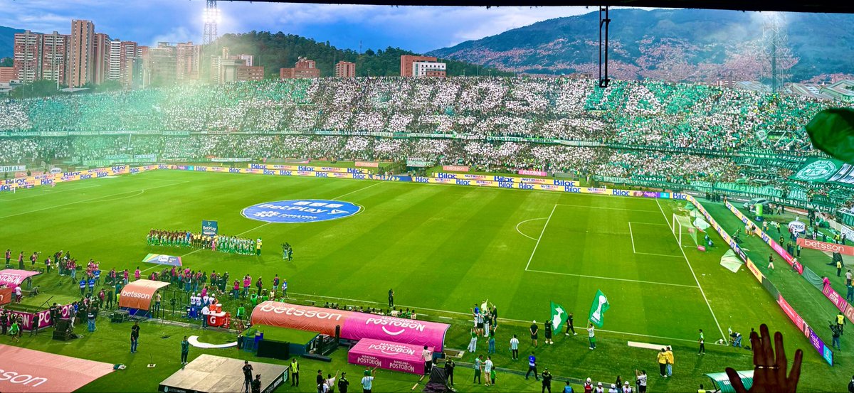 SebasYepesV's tweet photo. Bueno, muchachos… Limpiemos el algoritmo, ahora solamente hay algo que nos debe importar y es la 19. 

¡VAMOS NACIONAL! https://t.co/YkYPSmFcDS