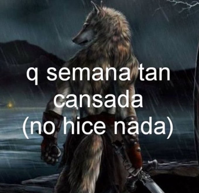 ElJeringasLoko's tweet photo. uff https://t.co/eAQ9NmvoJ0